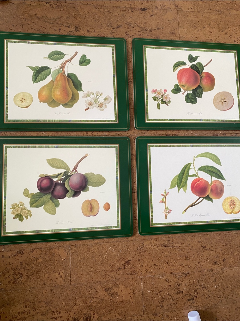 Vintage 90’s Set of 4 Botanical Fruit Print Placemats - Green Border Back Cork